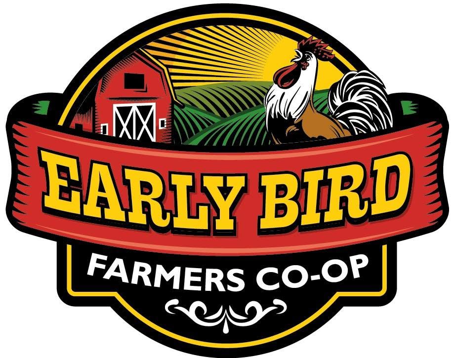 Organic Farm Eggs