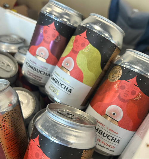Barrel & Brine Kombucha - Multi Pack