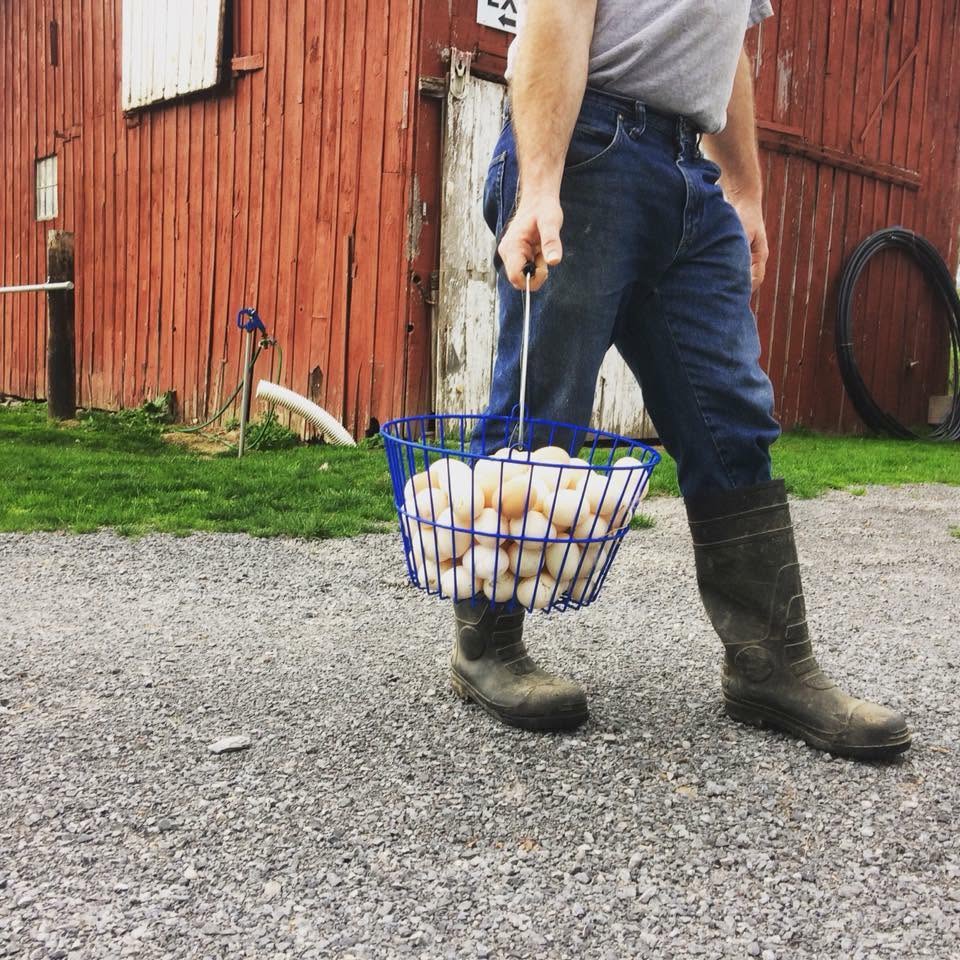 Organic Duck Eggs