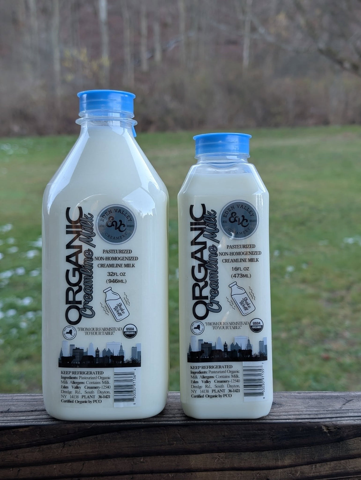 Organic Pasture - Creamline Milk
