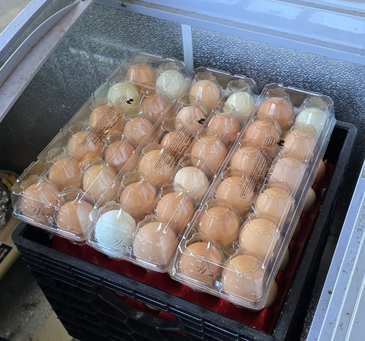 Local Farm Eggs