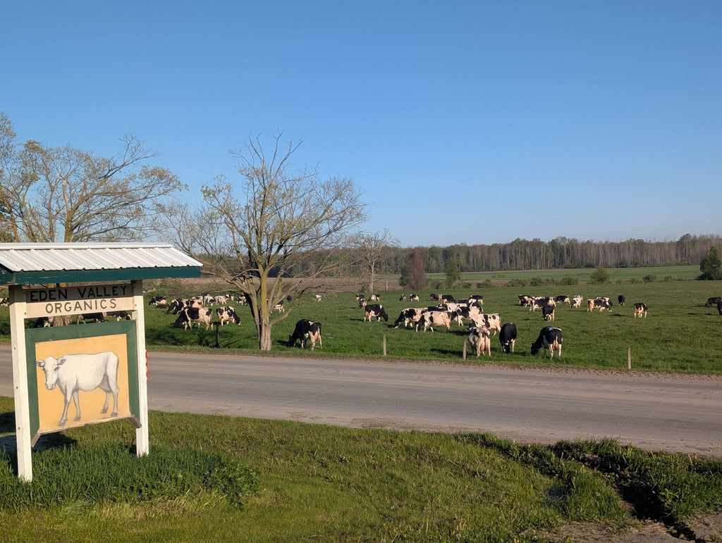 Organic Farmstead Age Cheeses