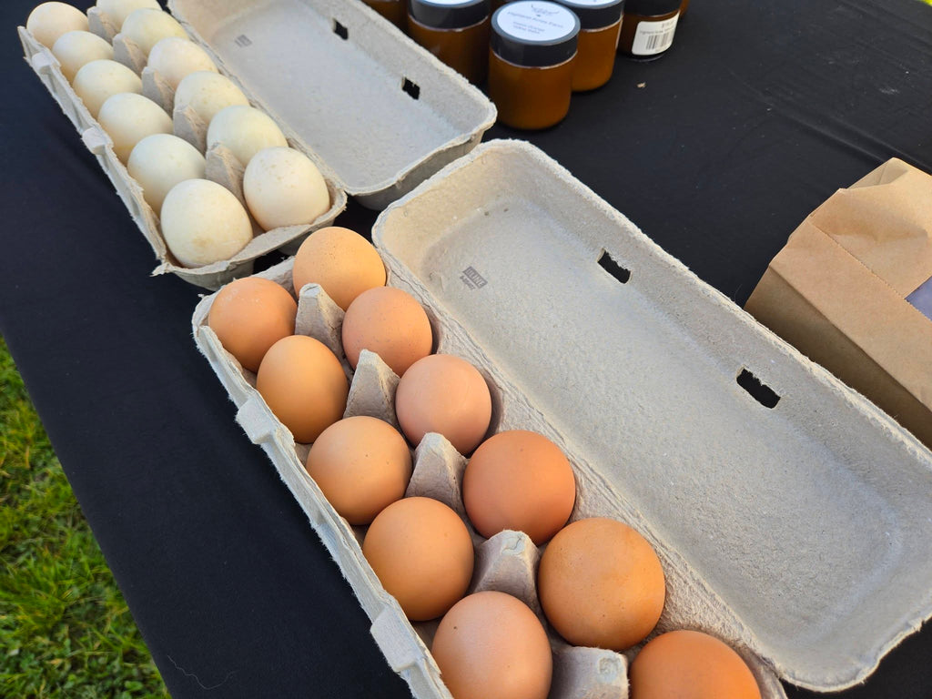 Local Farm Eggs