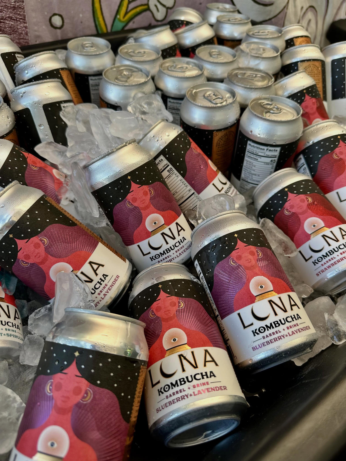 Barrel & Brine Kombucha - Multi Pack