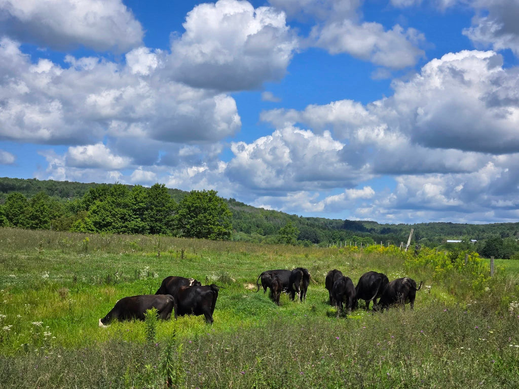 Highland Acres Farm Grass Fed Ground Beef