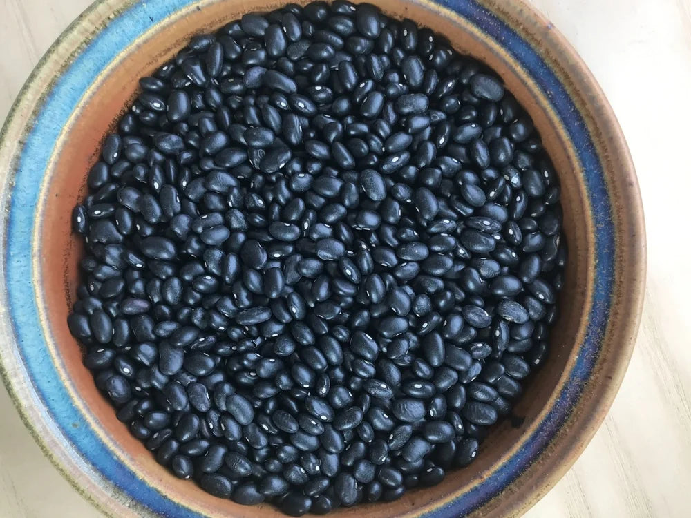 NYS Beans & Legumes