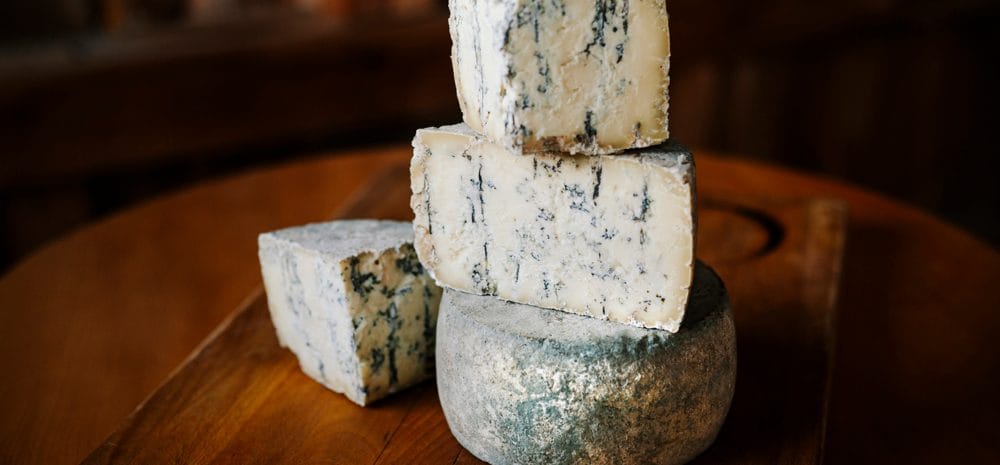 Farm Goat Cheese