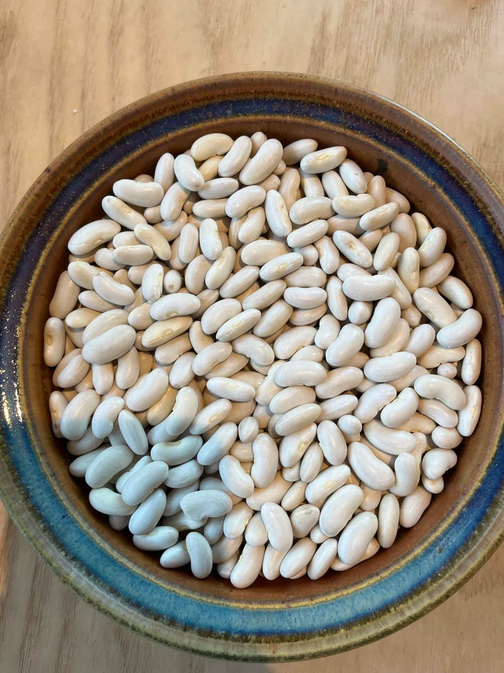 NYS Beans & Legumes