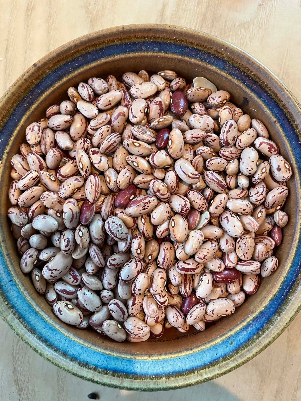 NYS Beans & Legumes