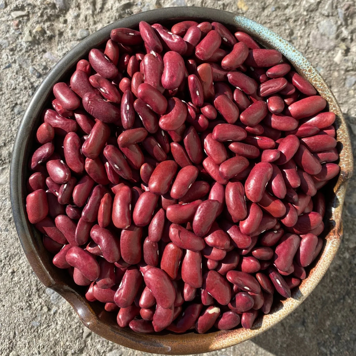 BULK - Organic NYS Beans & Legumes