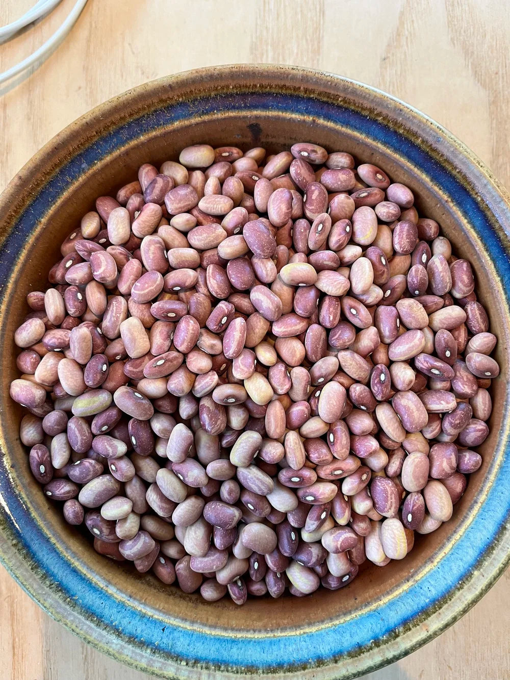 NYS Beans & Legumes