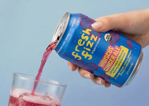 Fresh Fizz Organic Soda - multi pack