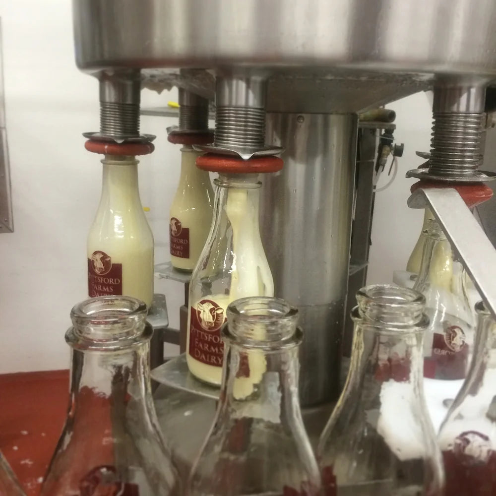 Chocolate Milk - Multi Pack