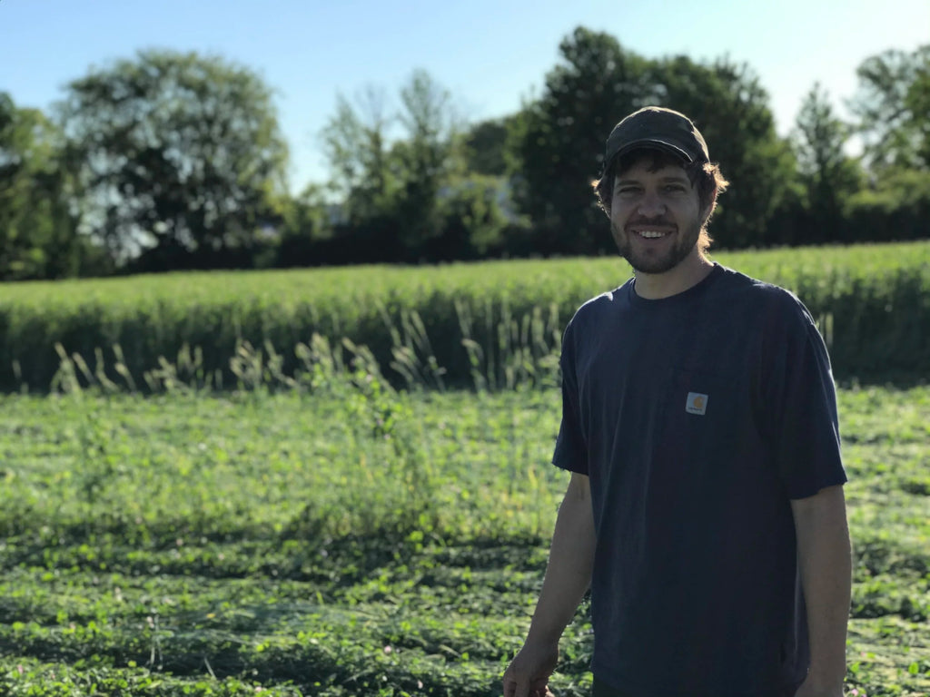 BULK - Organic NYS Beans & Legumes