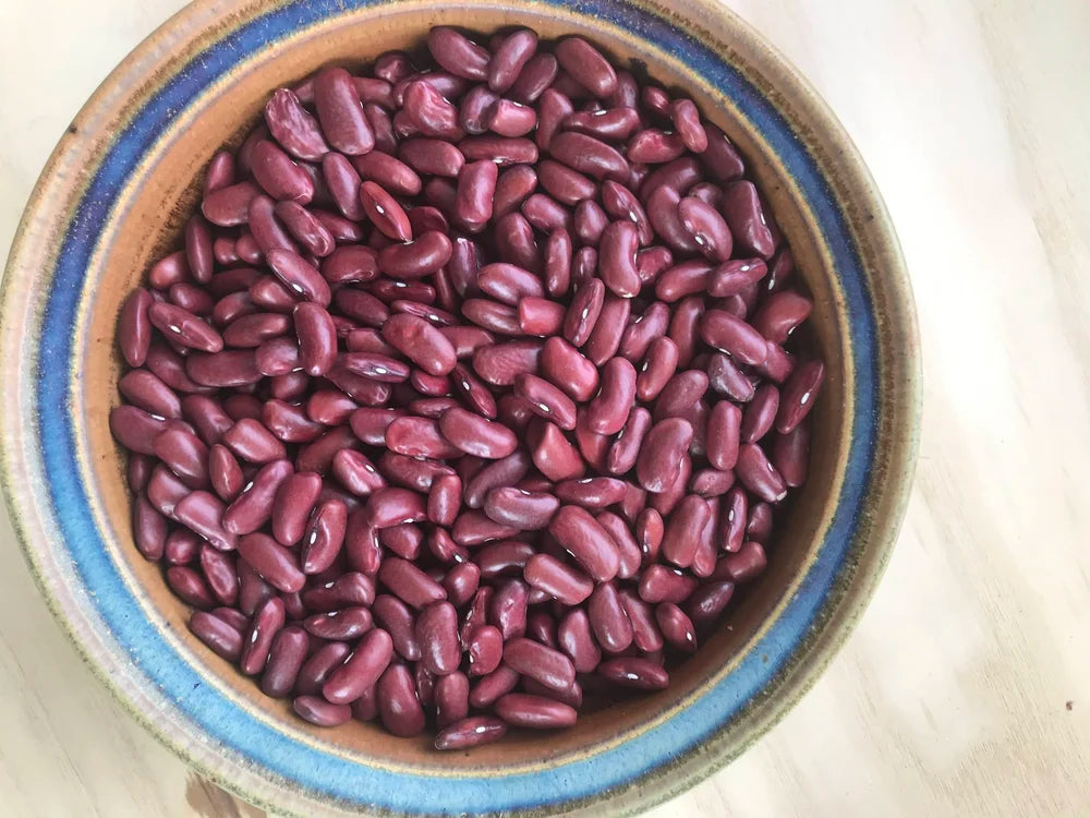 NYS Beans & Legumes