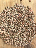 Lentils