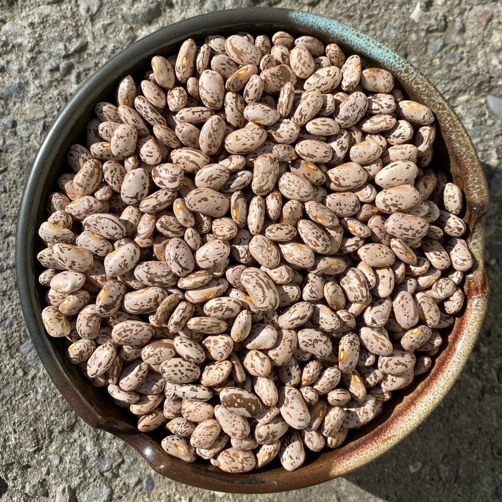 BULK - Organic NYS Beans & Legumes