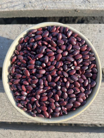 NYS Beans & Legumes