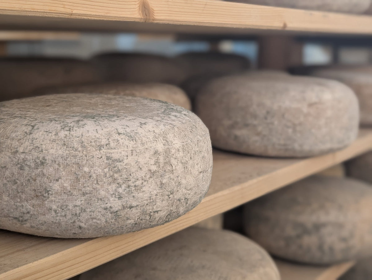 BULK Cheese